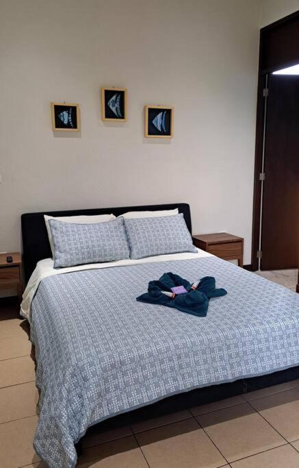 Apartament Playa Blanca - Moro Blue Cancún Zewnętrze zdjęcie